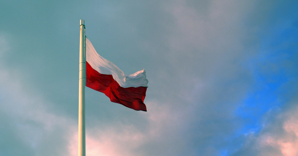 Українці зможуть користуватися електронними водійськими правами в Польщі